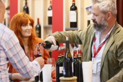 Chilean Wines Shine at ProWein 2024: A Guide to Discovering South American Excellence