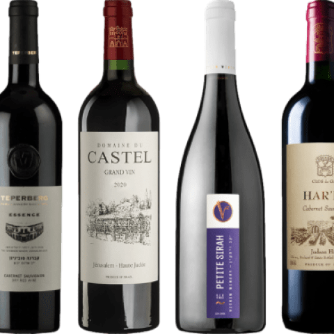 Israeli Wines Make a Splash at ProWein 2024 in Düsseldorf