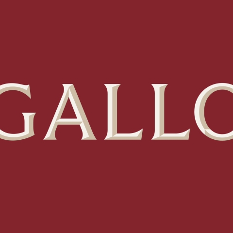 E. & J. Gallo Winery: A Blueprint for Values-Driven Success in the Global Wine and Spirits Industry