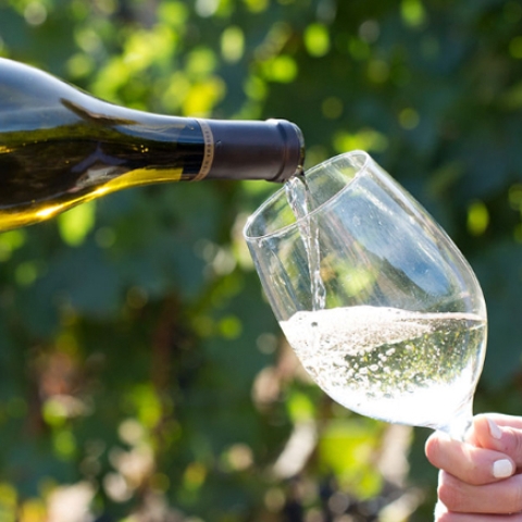 The Wine Group and Southern Glazer's Wine & Spirits Announce Strategic Expansion, Bringing Award-Winning Wines to Six New States