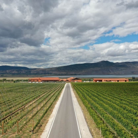 Alpha Estate: Greek Wine Tradition Meets Sustainable Innovation in the Heart of Amyndeon