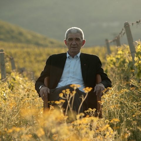 Discover the Soul of Northern Greece in a Glass: Kir-Yianni Wines Bring Terroir to the Table