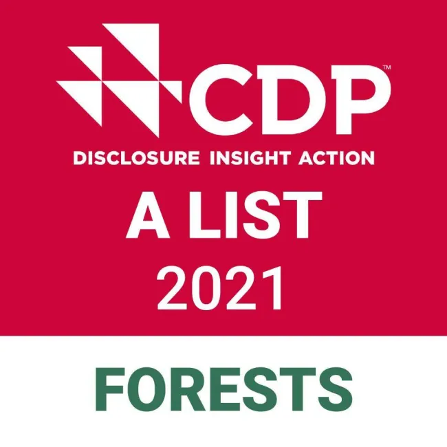 Barry Callebaut leading in corporate action and transparency on deforestation