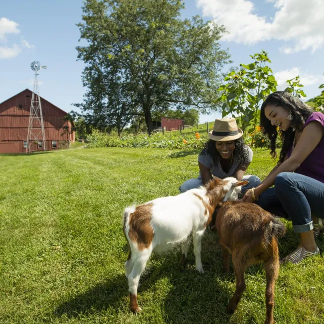 Ohio Road Trip: Rock ‘n Roll, Roller Coasters, City Culture and Charm