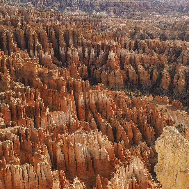 Exploring Southern Utah's Mighty 5® National Parks