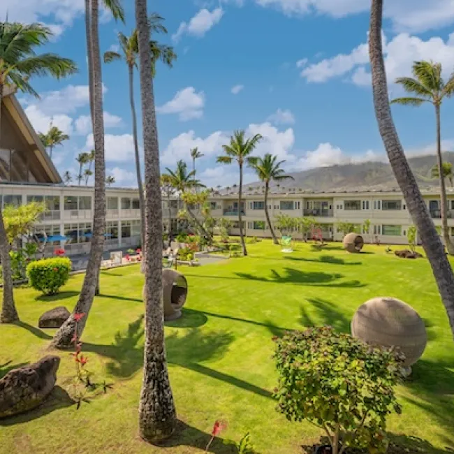 Hotel Equities and Springboard Hospitality Join Forces to Transform Travel Experiences