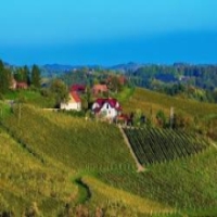 Austrian Wine Shines at ProWein 2024