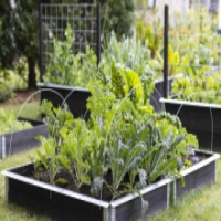 Upyard Unveils Revolutionary Modular Raised Garden Beds and Eco-Conscious Accessories at spoga+gafa 2024
