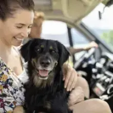 Camping with Your Canine Companion: A Comprehensive Guide for Pet Owners