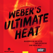 Weber grill accessories