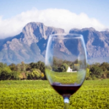 PWS Capitalizes on Africa's Burgeoning Wine Market at Tastin' France