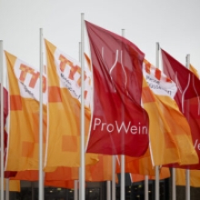 ProWein Business Report Highlights the Digitalization of the Wine Industry