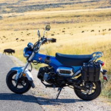 Honda Dax 125