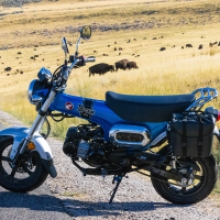 Honda Dax 125