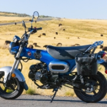 Honda Dax 125