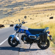 Honda Dax 125