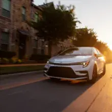 The 2025 Toyota Corolla family