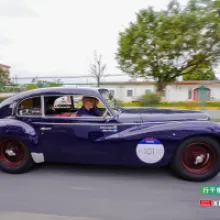 Even the Chinese version of the 1000 Miglia features Alfa Romeo