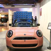 Pantone Color of the Year 2025