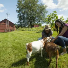Ohio Road Trip: Rock ‘n Roll, Roller Coasters, City Culture and Charm
