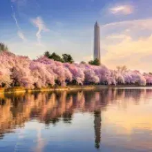 DiamondRock Hospitality Finalizes Sale of Westin Washington, D.C. City Center