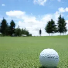 Register Now for the 16th BHB Branchen Open 2025 at Golf Club Wiesensee
