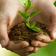 What Gardeners Should Know Before Buying Potting Soil: A Consumer Guide to Quality Testing