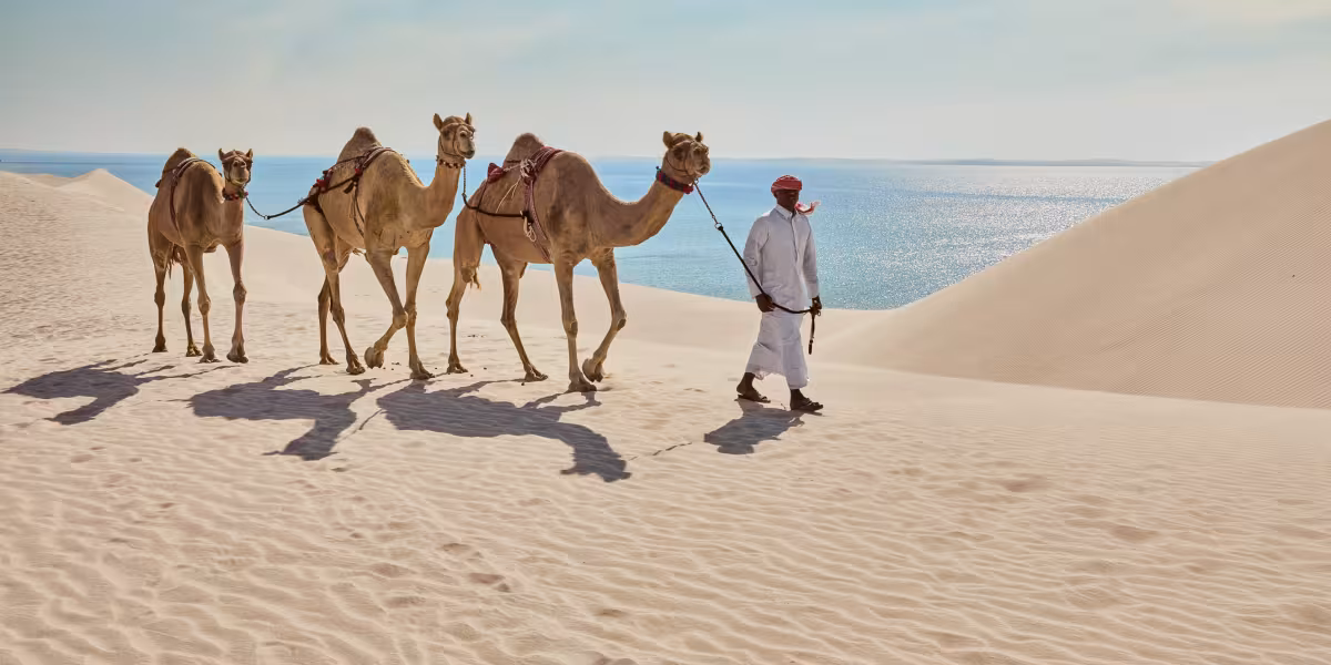 Visit Qatar