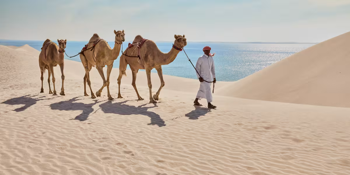 Visit Qatar