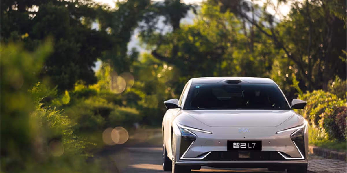 IMMOTORS L7