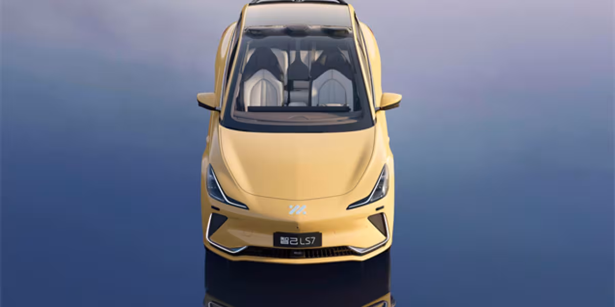 IMMOTORS LS7