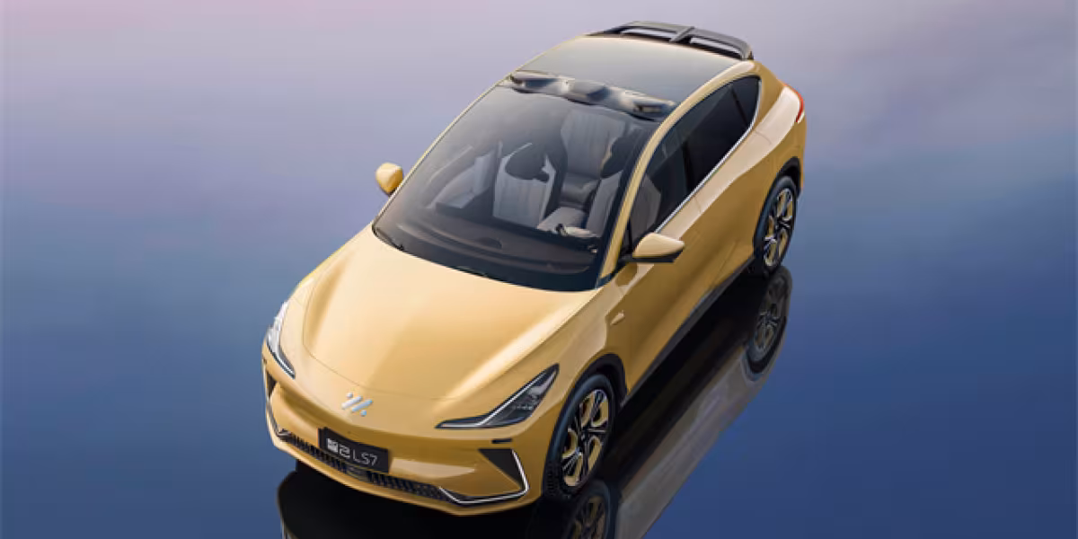 IMMOTORS LS7