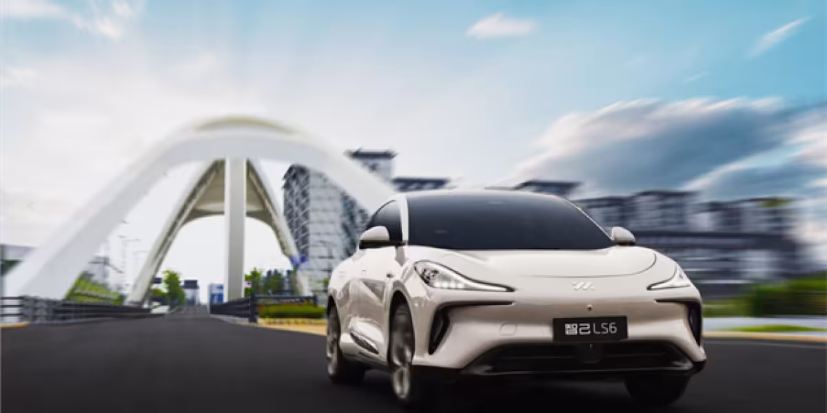 IMMOTORS LS6