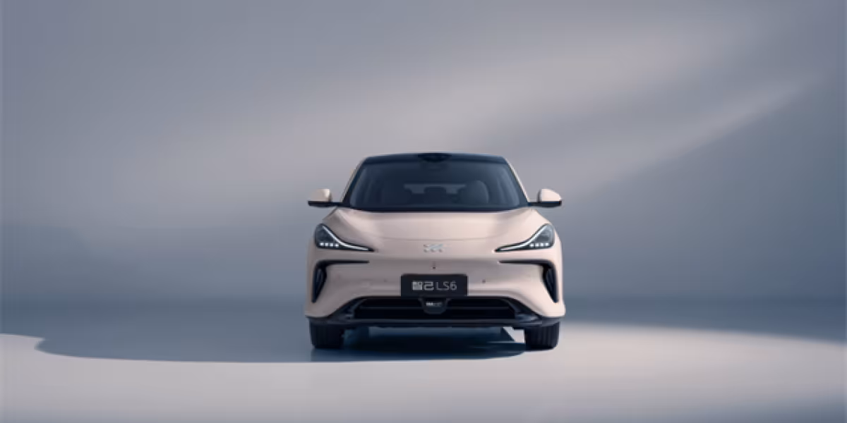 IMMOTORS LS6