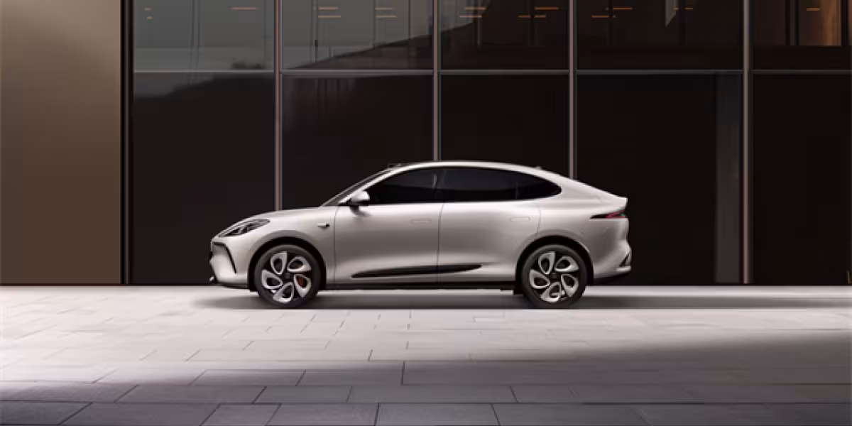 IMMOTORS LS6