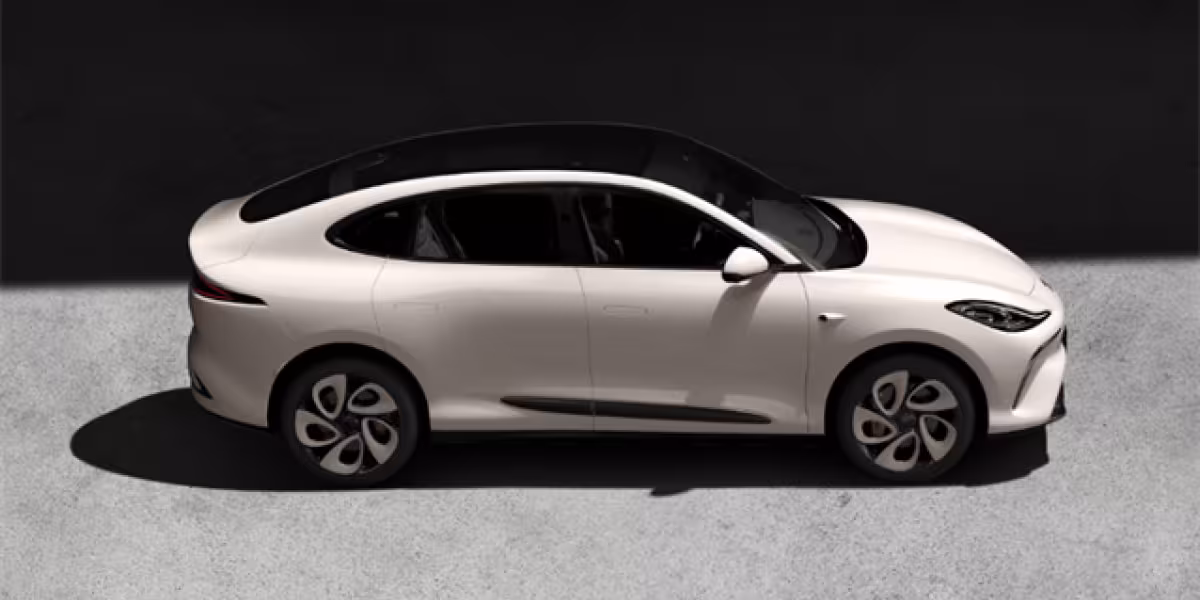 IMMOTORS LS6