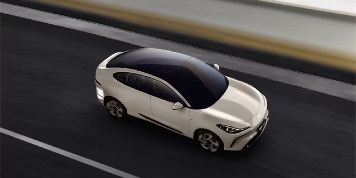 IMMOTORS LS6
