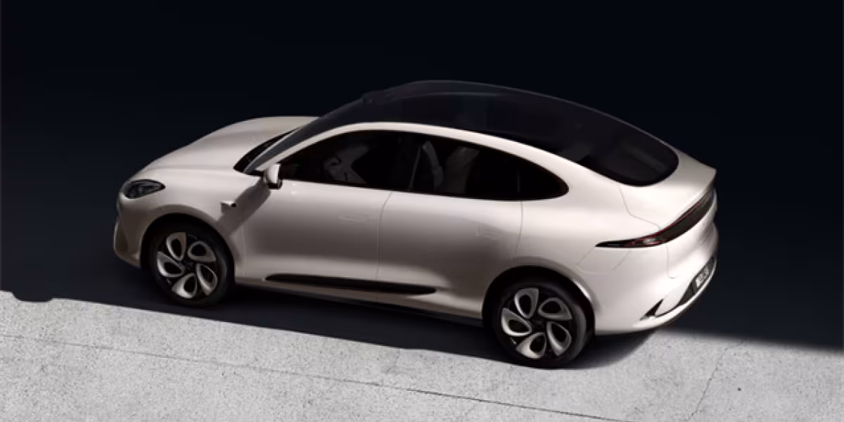 IMMOTORS LS6