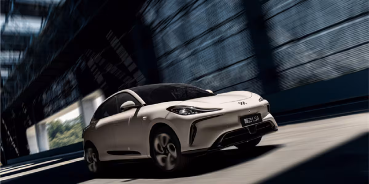 IMMOTORS LS6