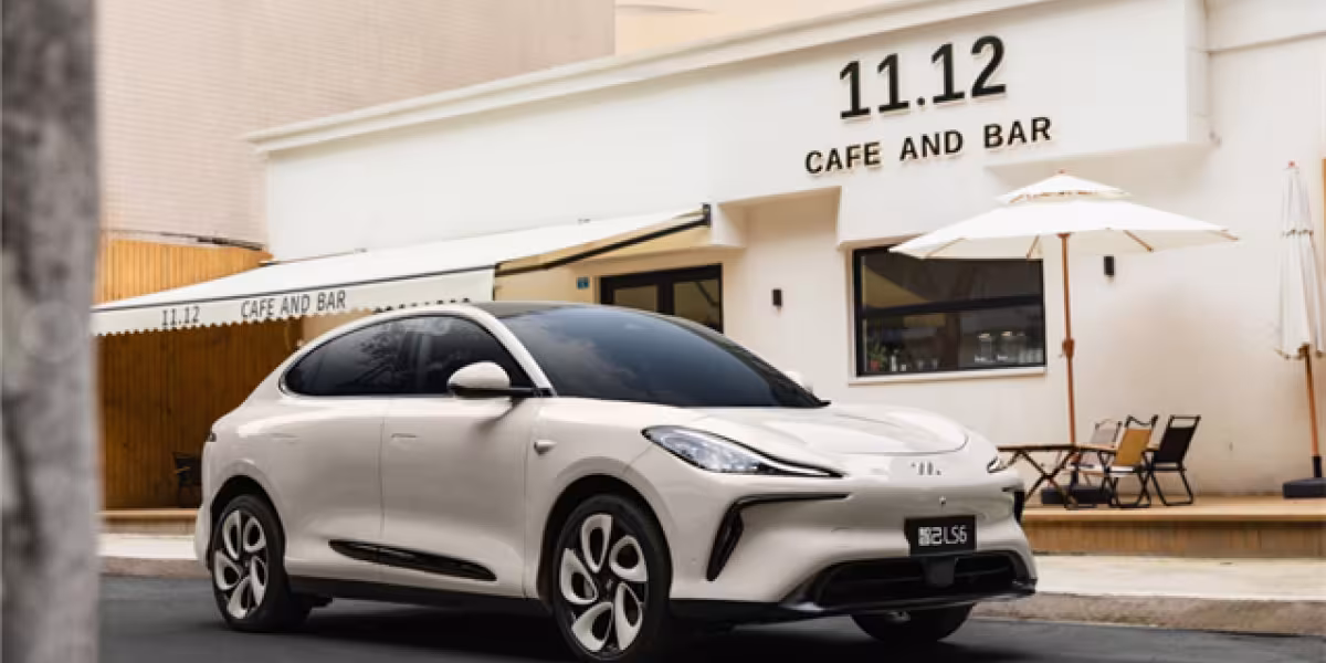 IMMOTORS LS6