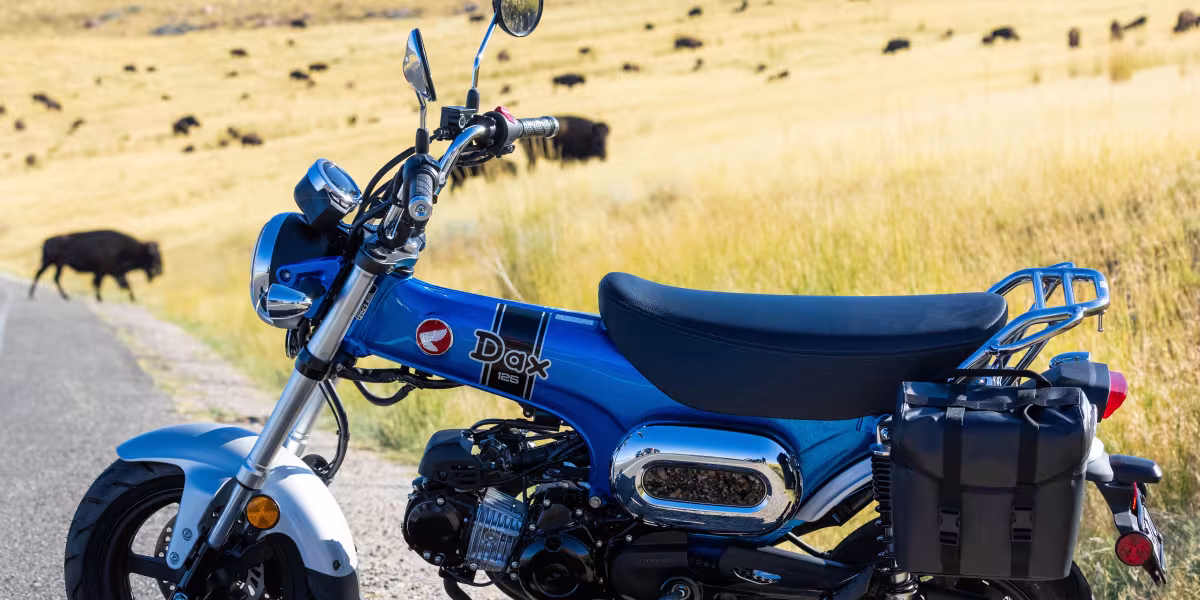 Honda Dax 125