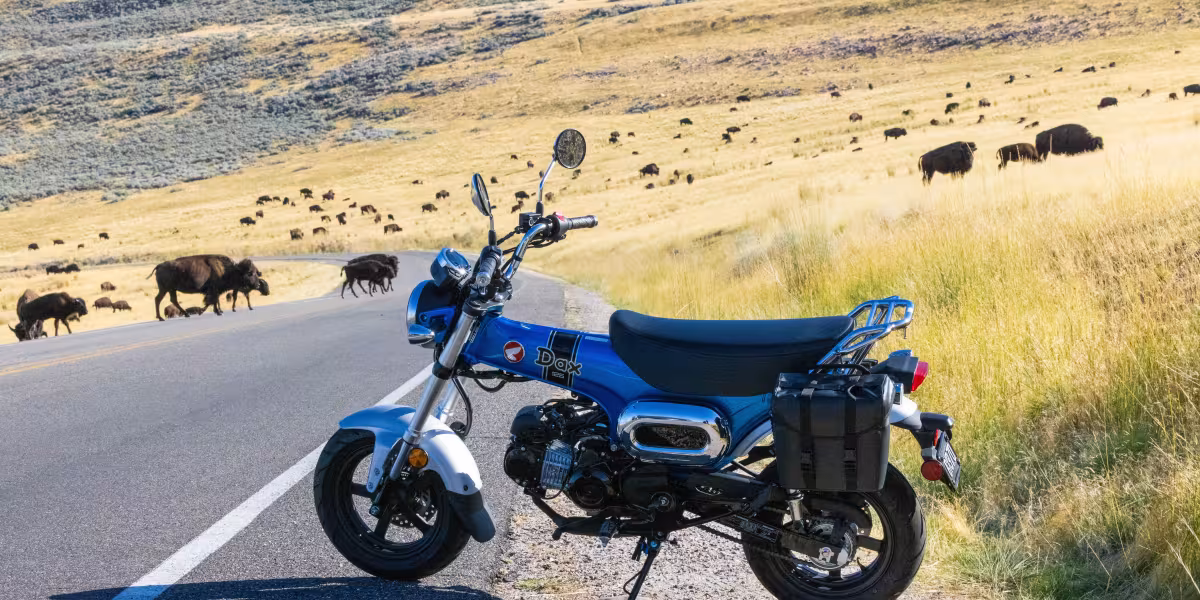Honda Dax 125