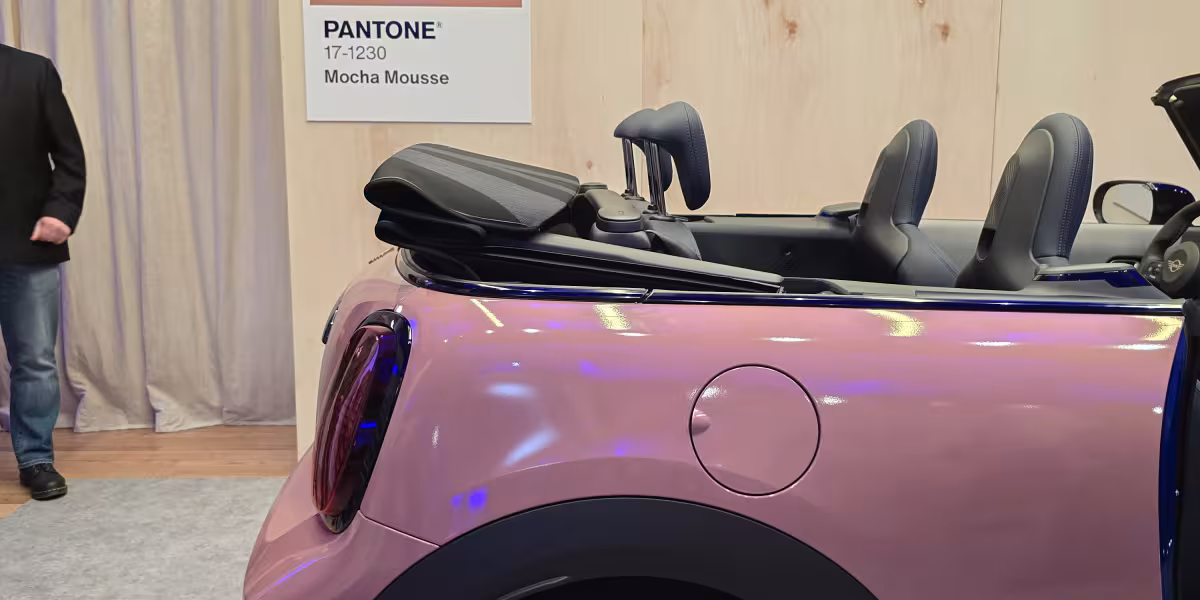 Pantone Color of the Year 2025