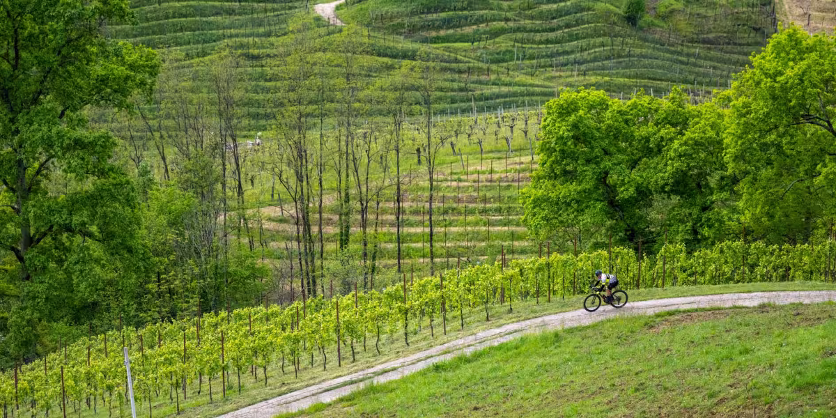NOVA Eroica 2025: Event Calendar and Exciting New Additions