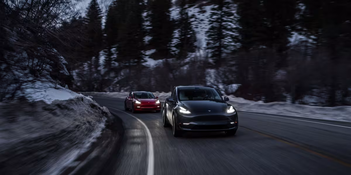 Tesla Group