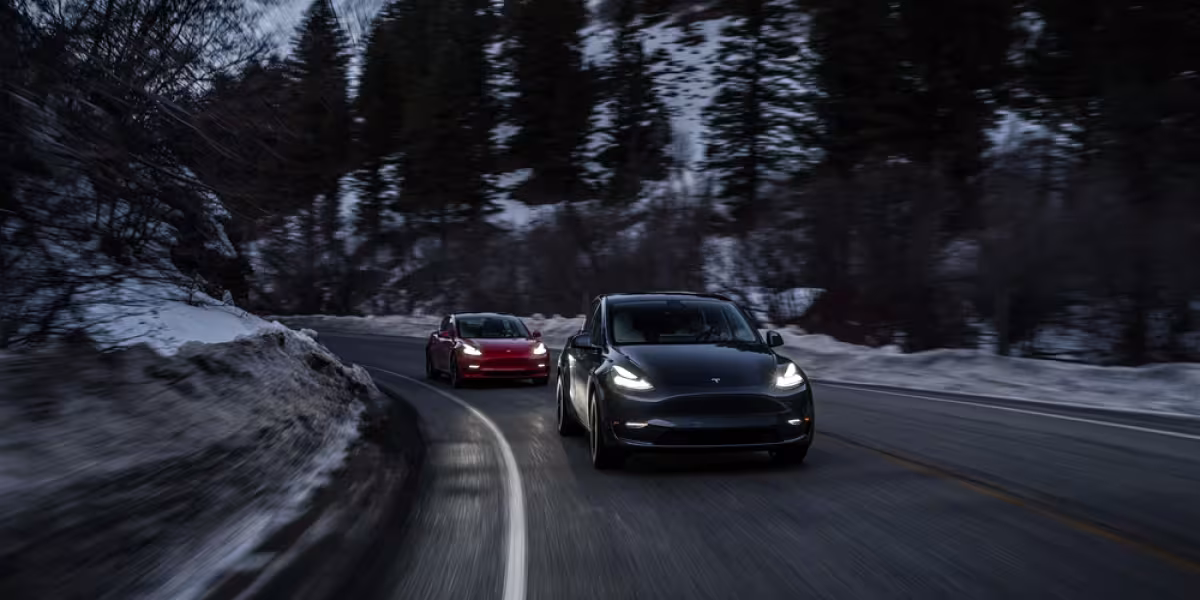 Tesla Group
